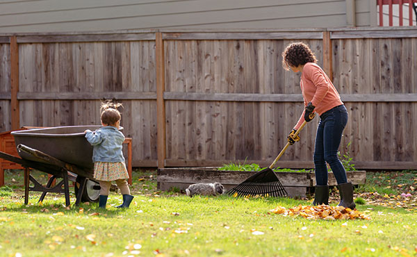 Fall Lawn Care & How to DIY