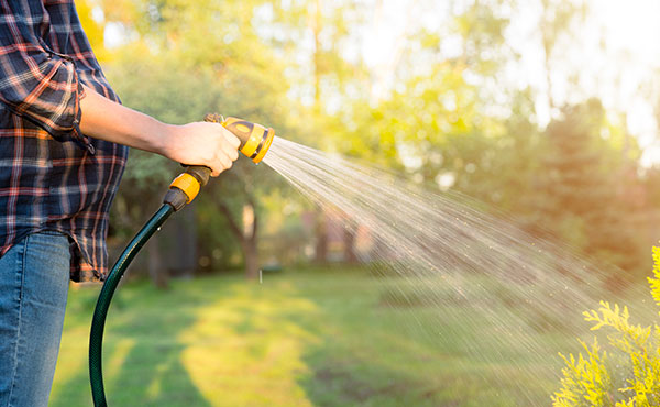 How to Save Water in Your Lawn & Garden